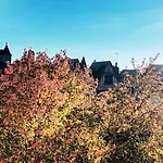 Le Plum'loft, Duplex Au Coeur Du Vieux - Wifi - Tv * Tours