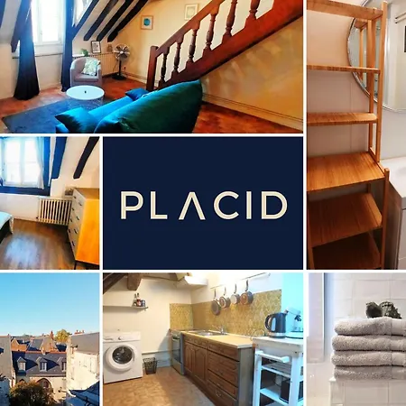 Le Plum'loft, Duplex Au Coeur Du Vieux - Wifi - Tv Lägenhet *