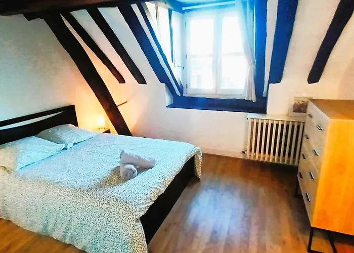 Le Plum'loft, Duplex Au Coeur Du Vieux - Wifi - Tv Tours